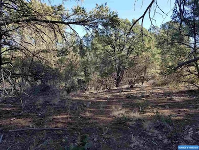 56 Vesuvius Way, Silver City, NM 88061 - photo 7