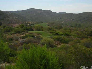 Shady Canyon Golf Club:  world-renowned course des