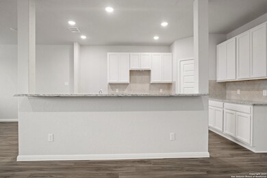 4207 Ametrine Way, San Antonio, TX 78245 - photo 4