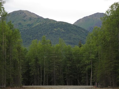 L9 Lyle Cir, Hope, AK 99605 - photo 7