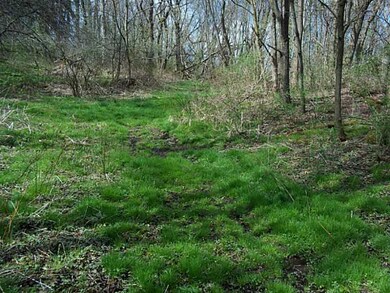 Land.
