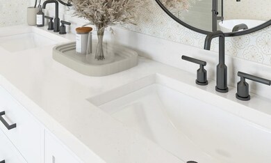 Owner's Bath