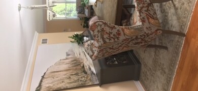 421 W Gartner Rd, Naperville, IL 60540 - photo 4