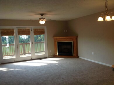 Fireplace-Main level