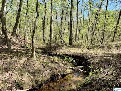 Tract 3 County Road 268 unit 3, Roanoke, AL 36274 - photo 6