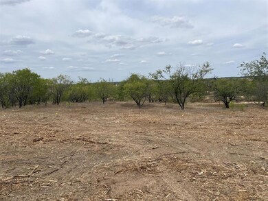 690 County Road 4970, Boyd, TX 76023 - photo 5