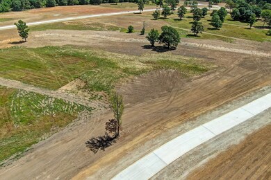 2072 Stallion Lakes Ave, Hockley, TX 77447 - photo 4