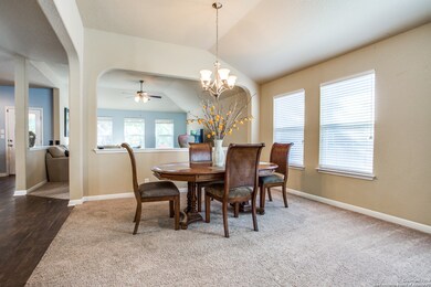 10603 Carmona, Helotes, TX 78023 - photo 4