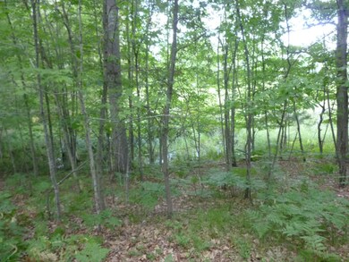 10800 N Beaver Trail, Lilley Township, MI 49309 - photo 3