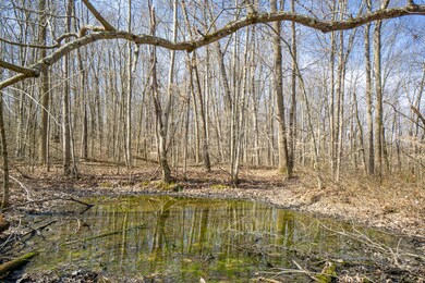 33996 W Buckingham Rd, Logan, OH 43138 - photo 2