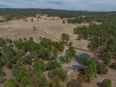 200 Meadow Ln, Mimbres, NM 88049 - photo 7