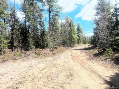 480 Acres Off Cr Aaa Rd, Michigamme, MI 49861 - photo 4