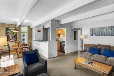 508 E Lionshead Cir unit 211/Weeks 15/16/17, Vail, CO 81657 - photo 7