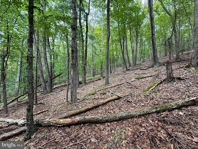 Lot 18B Wits End, Mathias, WV 26812 - photo 3