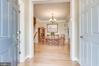 407 Park Ave, Falls Church, VA 22046 - photo 5