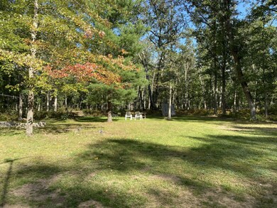 11834 N Bingham Ave, Bitely, MI 49309 - photo 3