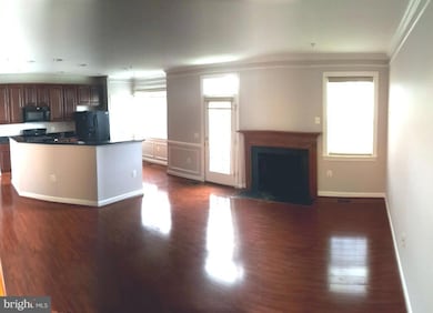 13616 Venturi Ln unit 168, Herndon, VA 20171 - photo 4