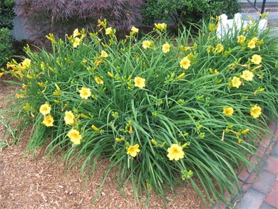 45 Aldis Ln, Wrentham, MA 02093 - photo 2