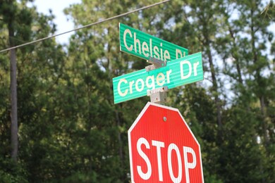 0000 Chelsie Place, Magnolia, TX 77354 - photo 5