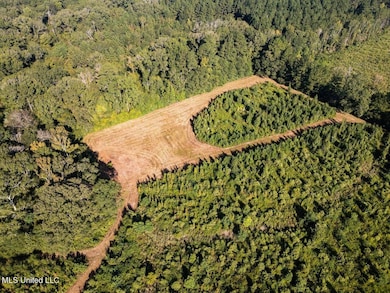 5073 Rollinson Rd, Liberty, MS 39645 - photo 3