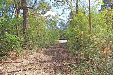 0 Shadeville Rd, Crawfordville, FL 32327 - photo 6