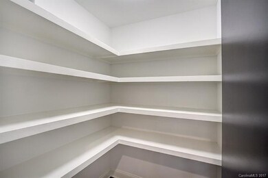 Huge custom walk-in pantry!