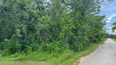 0 County Road 429, Brazoria, TX 77422 - photo 2