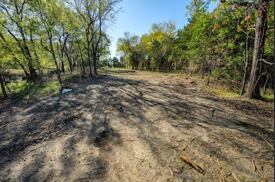 Lot 1 Fm 1566, Wolfe City, TX 75496 - photo 2