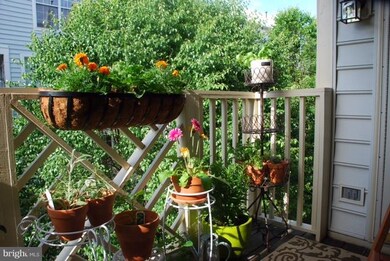 1725 Kingsgate Ct unit 302, Alexandria, VA 22302 - photo 5