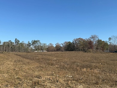 Hwy 397 S, Louisville, MS 39339 - photo 4