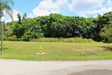 Banyan107