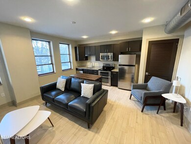 603 W Main St unit 503, Knoxville, TN 37902 - photo 4