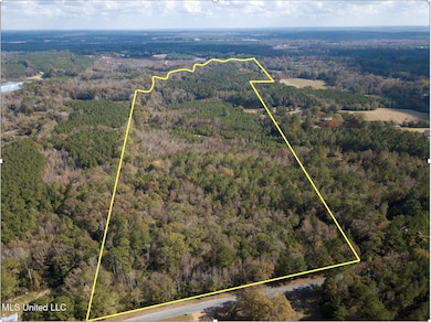 0 80 8 Acres, Carthage, MS 39051 - photo 3