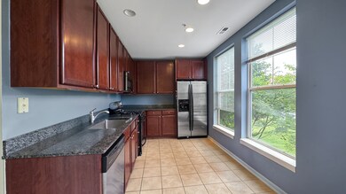 The Residences at the Grove unit 202, Forest Park, IL 60130 - photo 6
