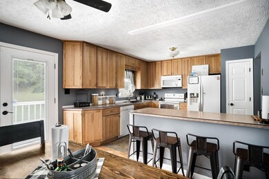 134 Jerome Rd, Mount Jackson, VA 22842 - photo 7