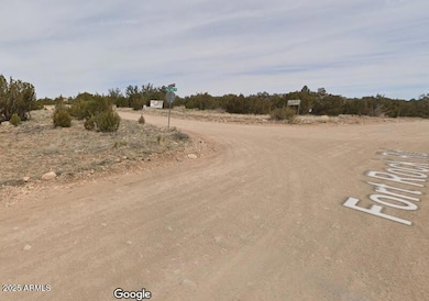 000 Via de Oro -- unit 1332, Seligman, AZ 86337 - photo 7