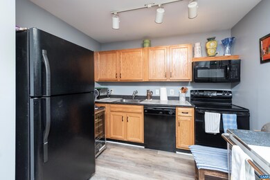 1234 Villa Ln unit E, Charlottesville, VA 22903 - photo 6