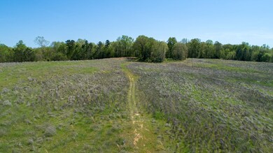 24512 Highway 58, Baskerville, VA 23915 - photo 6