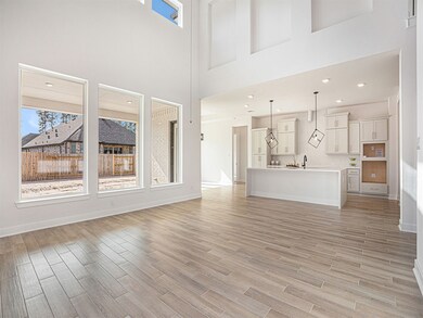 17934 Aqua Haven Ln, Woodloch, TX 77302 - photo 6