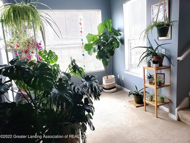 Solarium