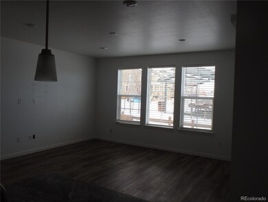 17510 E 95th Place, Commerce City, CO 80022 - photo 4