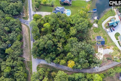 0 Green Meadow Dr unit 617154, Chapin, SC 29036 - photo 4