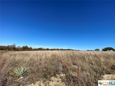 278 Theresa Ln, Moody, TX 76557 - photo 6