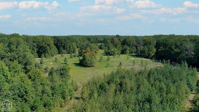 809 Cr 714, Jonesboro, AR 72401 - photo 6