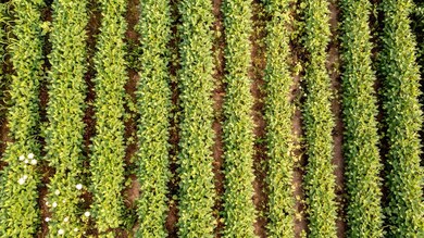 9617 Clay St, Crown Point, IN 46307 - photo 7