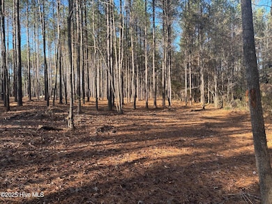 3227 Lee Landing Rd, New Bern, NC 28560 - photo 6