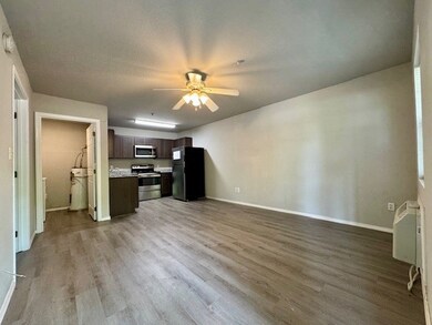 944 N Storer Ave unit 2, Fayetteville, AR 72701 - photo 2