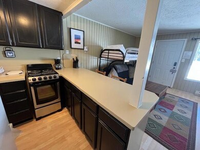 Edelweiss 202 kitchen and bunks