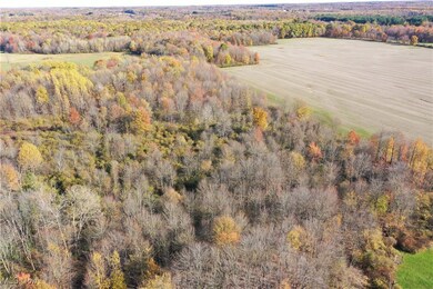 0 Brockway Rd, Roaming Shores, OH 44085 - photo 6