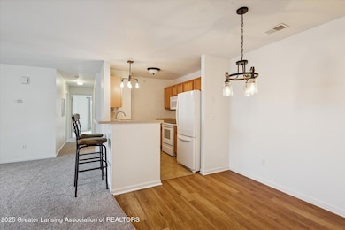 12948 Townsend Dr unit 611, Grand Ledge, MI 48837 - photo 3